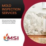 Mold inspection services